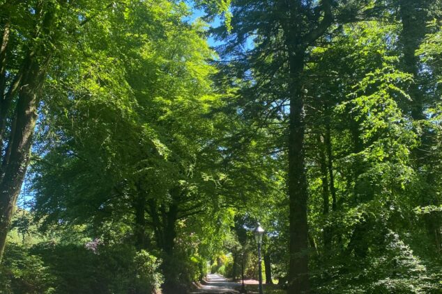 Cilrhiw Country House Woods